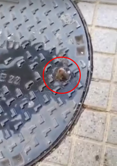 圖片截取自