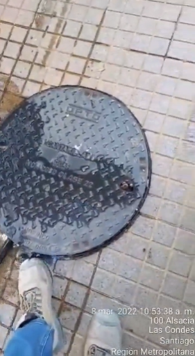 圖片截取自